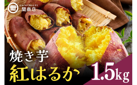 【期間限定】 関商店 焼き芋 紅はるか 1.5kg 国産 茨城県産 砂糖不使用 焼き芋 やきいも 焼芋 焼きいも べにはるか ベニハルカ 甘い 柔らかい 安心 安全 品質 食味 おやつ 62-G