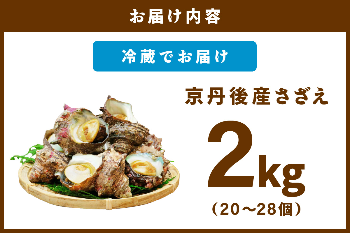 最高鮮度の生きたまま発送！日本海荒波育ち京丹後産さざえ2kg/北畿水産 貝類 魚介類 さざえ サザエ 京丹後産 活サザエ お刺身 刺身 さしみ 美味しい 壺焼きふるさと納税 さざえ ふるさと納税 活さざえ ふるさと納税 さざえ　HK00308