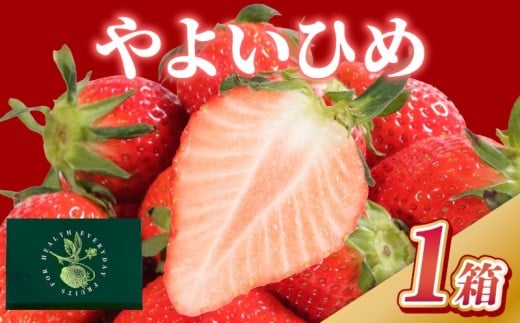先行予約 いちご やよいひめ 1箱（約400g） 林いちご園 銚子産  苺 いちご イチゴ ビタミンC 葉酸 食物繊維 デザート ミルフィーユ フルーツ ヨーグルト スムージー 朝摘み 朝採れ 新鮮 千葉県 銚子市