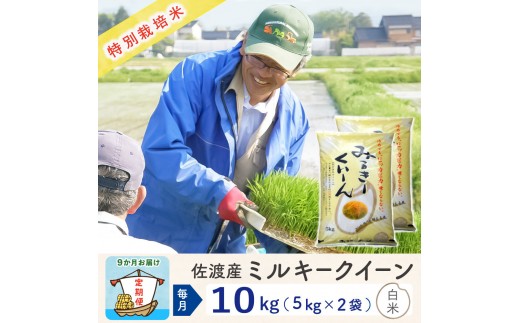 【新米予約 9か月定期便】佐渡島産ミルキークイーン 白米10Kg（5Kg×2袋）令和7年 特別栽培米