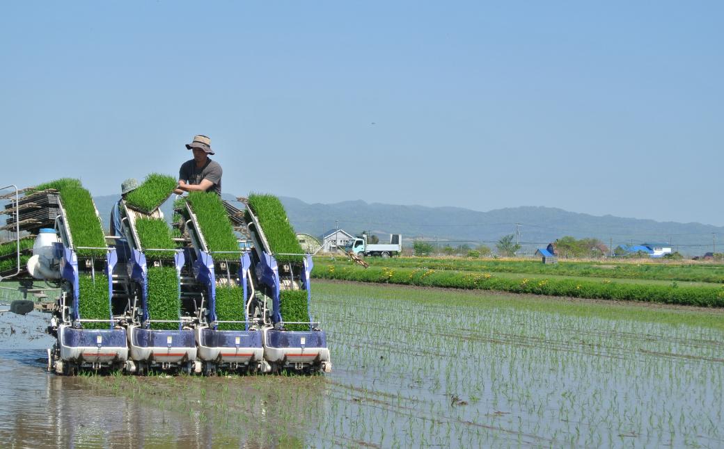 【こだわりの発酵系ご飯のおとも】RICEMALTDIP（ライスモルトディップ｜熟成醤油麹）140g×5