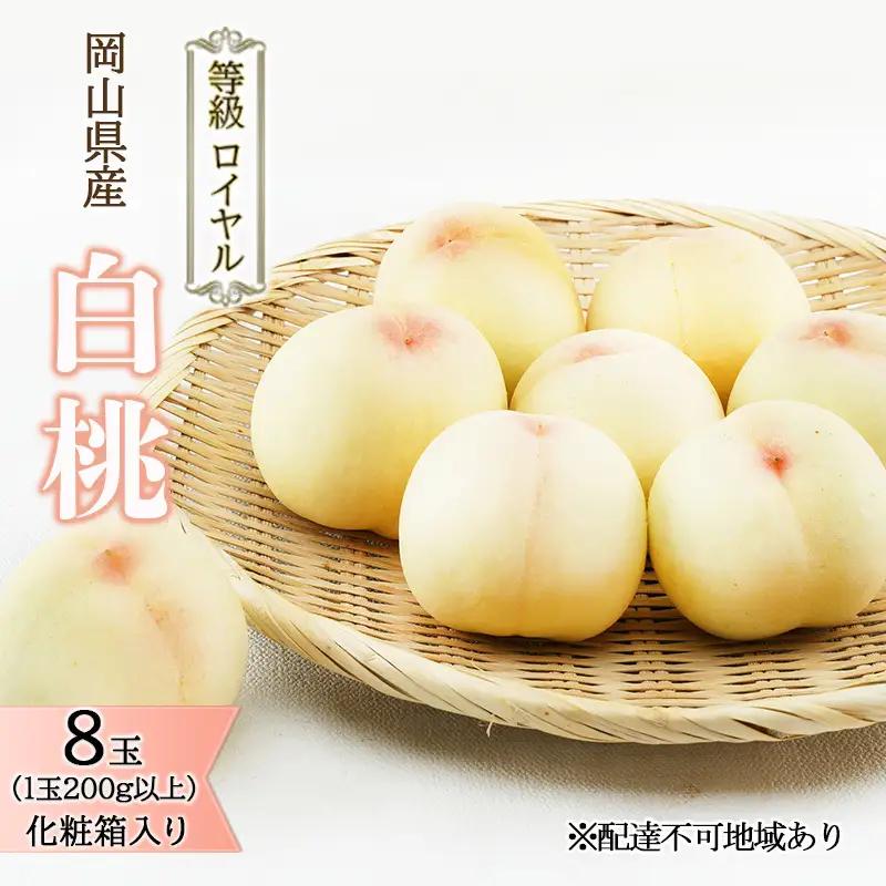 白桃 ロイヤル 化粧箱入り 岡山県産 白桃【8玉 1玉200g以上】【先行予約】