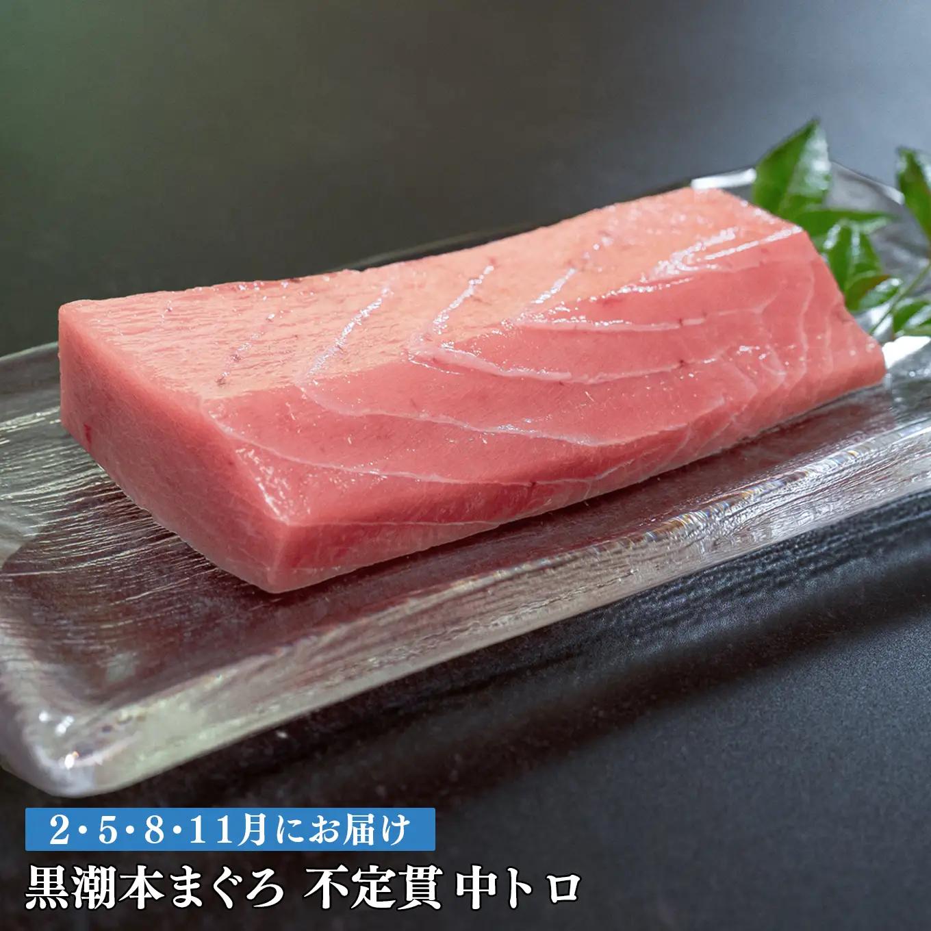 訳あり 不定貫 定期便 4回 高知県産 本マグロ 中トロ 養殖 120g (PT0080_0462)