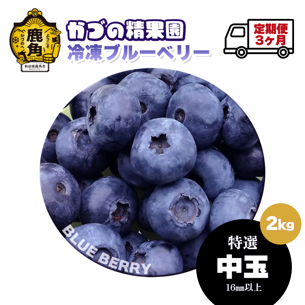 【定期便】ブルーベリー （冷凍）特選 中玉 2kg × 3ヶ月【かづの精果園】