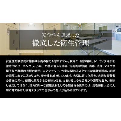 ふるさと納税 南阿蘇村 【6ヶ月定期便】馬刺し 赤身 馬刺し 1kg 《お申込み月の翌月から出荷開始》 |  | 01