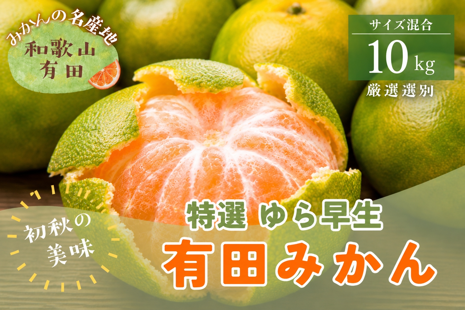 【初秋の美味】特選　ゆら早生有田みかん　約10kg+200g(傷み補償分)【2026年10月中旬～11月上旬頃に順次発送予定】【ard235A】