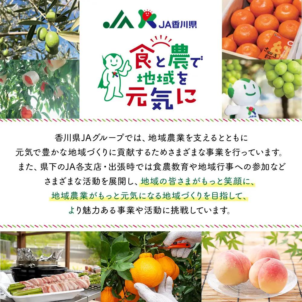 SANUKIFROZEN デコポン 60g×8袋