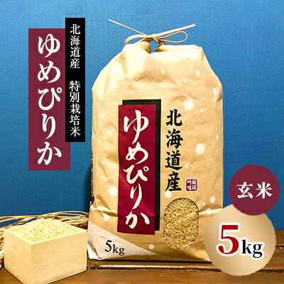 【ふるさと納税】【先行予約】特別栽培米 【令和7年産】北海道産ゆめぴりか 5kg　玄米【1532875】