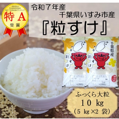 【令和7年産米】　ふっくら大粒　千葉県いすみ市産粒すけ　精米10kg(5kg×2袋)【1546627】