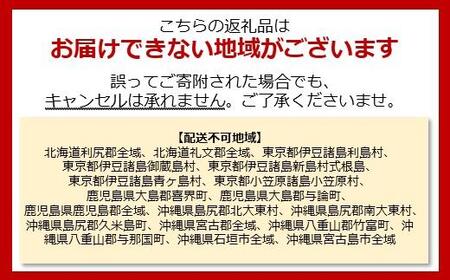 【12/31お届け限定】一冨士おせち　にぎわい　洋風中華　1段重　34品