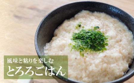 P19-01 【福智町産】オラの自然薯(1本もの 750g以上） 自然薯 じねんじょ 自然薯 じねんじょ 自然薯 じねんじょ 自然薯 じねんじょ 自然薯 じねんじょ 自然薯 じねんじょ 自然薯 じねん