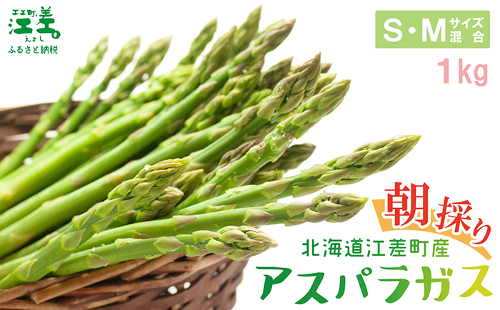 【夏芽 予約受付 6月中旬〜順次出荷】2025年 北海道江差町産 アスパラガス【S〜Mサイズ】 1kg　40〜50本　朝採り　農家直送　新鮮　鮮度保持　北海道　旬野菜　グリーンアスパラ　アスパラ　ギフ