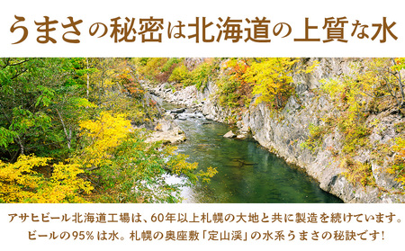 【定期便 4ヶ月】クリアアサヒ＜500ml＞24缶 2ケース 北海道工場製造