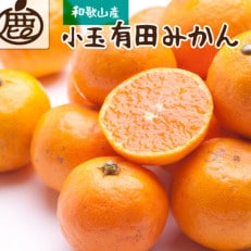 ＜2024年11月より発送＞厳選 小玉な有田みかん3.5kg+105g(傷み補償分)【光センサー】