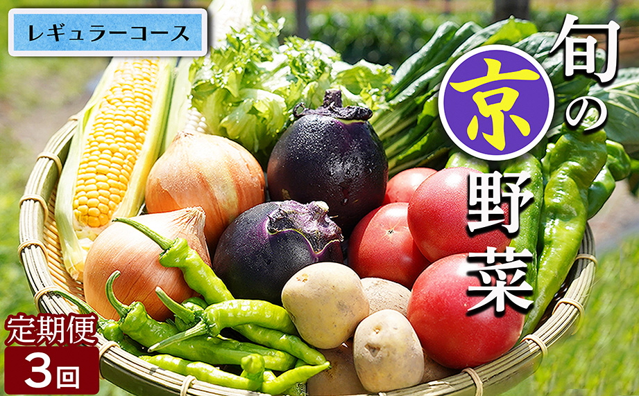 【3回定期便】旬の京野菜　毎月お届けレギュラーコース（全3回）《野菜定期便 野菜詰め合わせ 野菜セット 京野菜 旬の野菜 新鮮野菜》