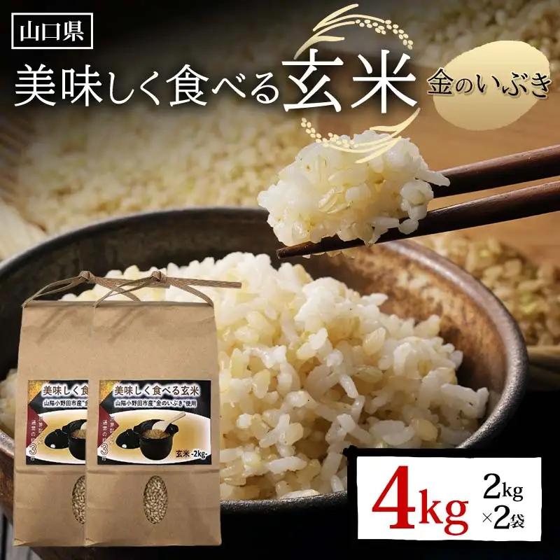 美味しく食べる玄米 計4kg 2kg×2袋 玄米 金のいぶき 小分け 定期便 ご当地 グルメ 食品 F6L-1345