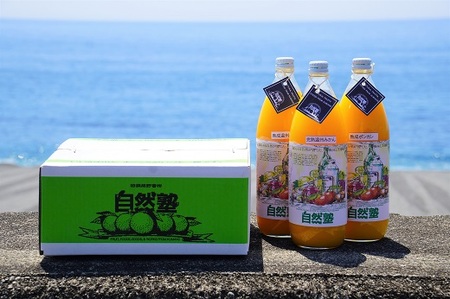 ジュース 季節の柑橘ジュース 3本入り【szjk0008】