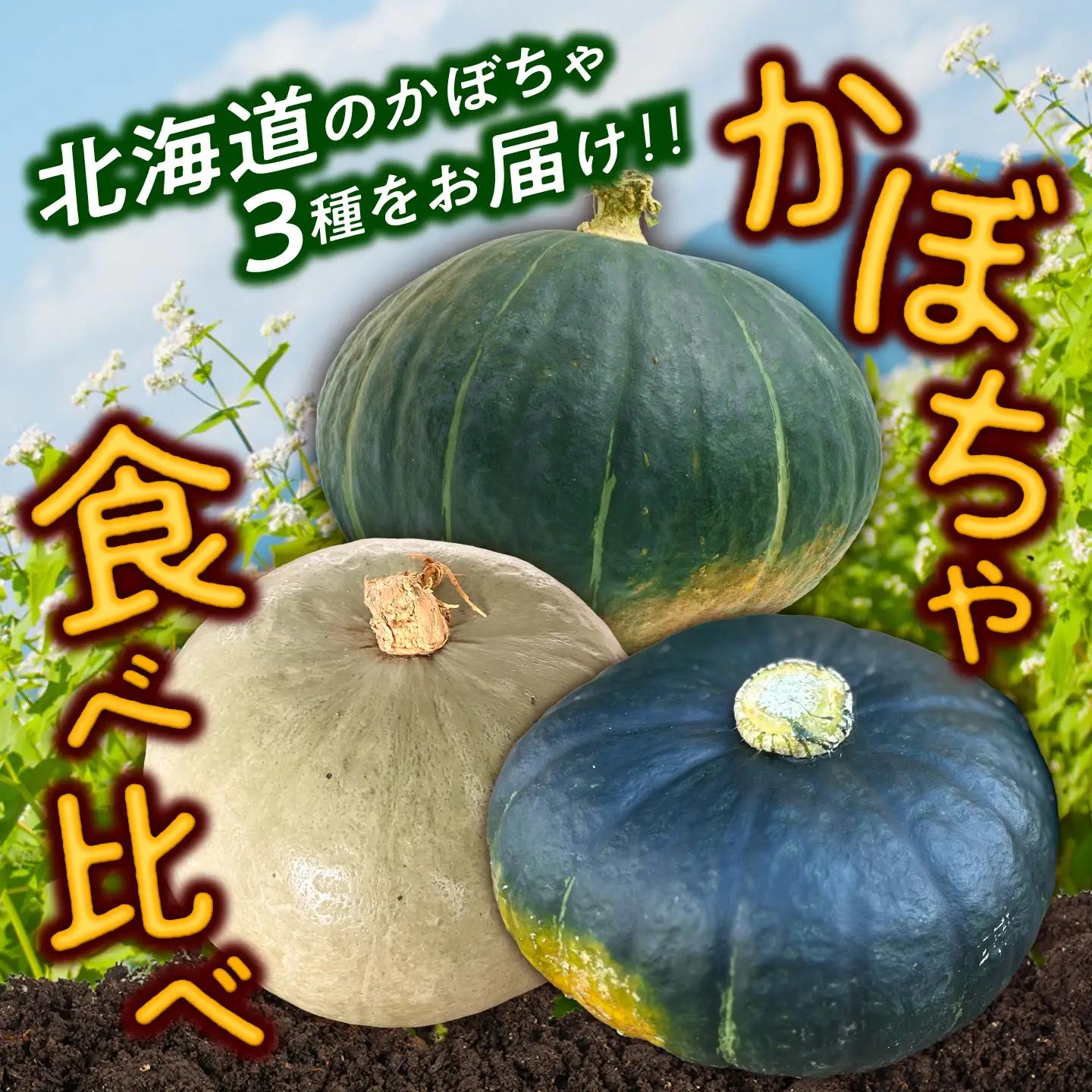 【先行予約】北海道 かぼちゃ ダークホース・とっておき・特濃こふき 3種類×1個 【9月中旬以降発送】足寄町/足寄アグリバイオ株式会社 [BEAC012]
