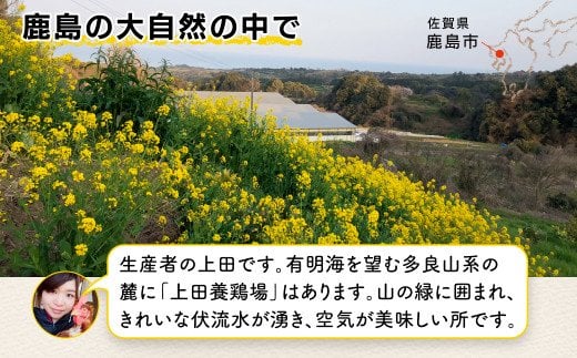 B-390 佐賀県鹿島産 平飼い卵「うみとやまとこっこ」上田養鶏場 たまご40個