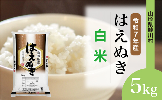 ＜令和7年産＞ はえぬき 【白米】 5kg （5kg×1袋）＜配送時期選べます＞　山形県鮭川村