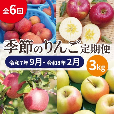 【発送月固定定期便】【25年9月〜26年2月】青森りんご 訳あり 品種おまかせ 3kg全6回【配送不可地域：離島・沖縄県】【4066842】