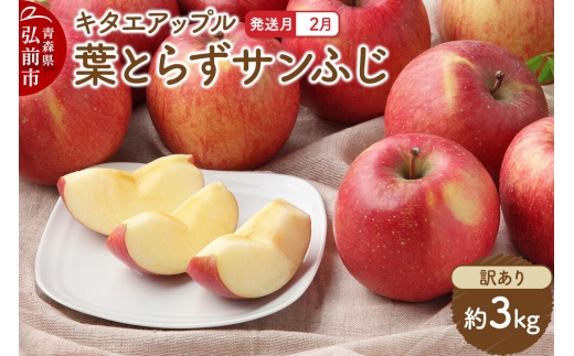 【27年2月発送】りんご 葉取らず サンふじ【訳あり】約3kg キタエアップル 先行受付 家庭用 青森県 弘前市 果物 フルーツ 林檎 リンゴ くだもの 不揃い 規格外 [先行予約 産地直送 アップル おいしい 果実 美味 甘い 赤色]