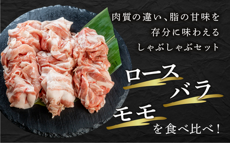 訳あり 国産 豚肉 食べ比べ 1000g しゃぶしゃぶ用 スライス ロース バラ 1kg 冷凍 瓜生豚 小分け 簡易包装 訳あり ぶた スライス 薄切り 豚しゃぶ 贈り物 ギフト お取り寄せ お取り寄