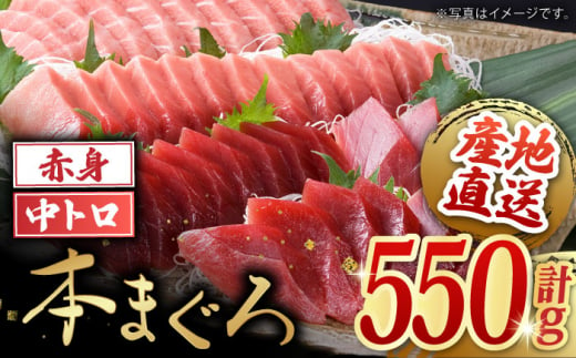 長崎県産 本マグロ「赤身・中トロ」盛り合わせ (約550g) まぐろ 鮪 中トロ マグロ刺身 刺身 柵 刺し身 セット 冷凍 東彼杵町/大村湾漁業協同組合 [BAK005]