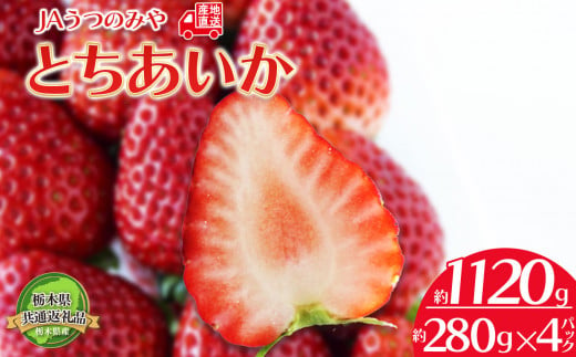 【2025年先行予約】【1月発送予定】  栃木県共通返礼品 JAうつのみや直送！ とちあいか 280g×4パック | いちご 甘い 果物 フルーツ デザート 栃木県 下野市 送料無料