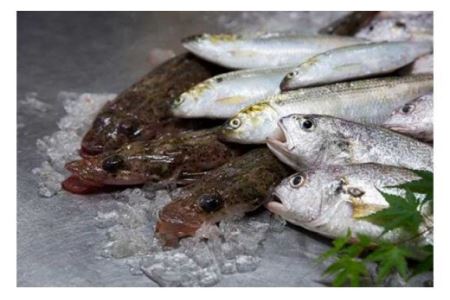 瀬戸内 地魚天ぷらセット（平天・丸天・ごぼ天）