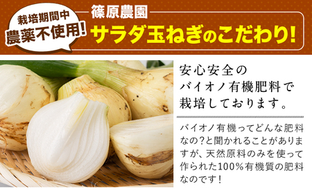 訳あり 栽培期間中 農薬不使用 サラダ玉ねぎ (S-2Lサイズ)  10kg《2月中旬-3月下旬頃出荷》熊本県 葦北郡 津奈木町 篠原農園 野菜 玉ねぎ たまねぎ 自然栽培 大小サイズ混合 ちょっと訳