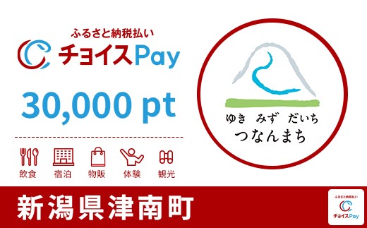 
            津南町チョイスPay 30,000pt【会員限定のお礼の品】
          