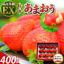 【ふるさと納税】数量限定 厳選 あまおう 400g 特別栽培 いちご エクセレント EX 認定農家 大きい うるう農園 福岡県 久留米市 採れたて 農家直送 フルーツ 果物 冷蔵 贈答用 一粒 丁寧な梱包 贈り物 お歳暮 お取り寄せ 送料無料