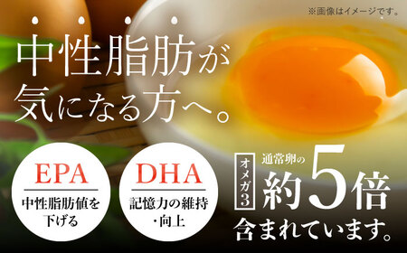 竹林かぐや姫平飼いオメガ有精卵 36個入 たまご 卵【株式会社 緒方エッグファーム】[AYBG001]