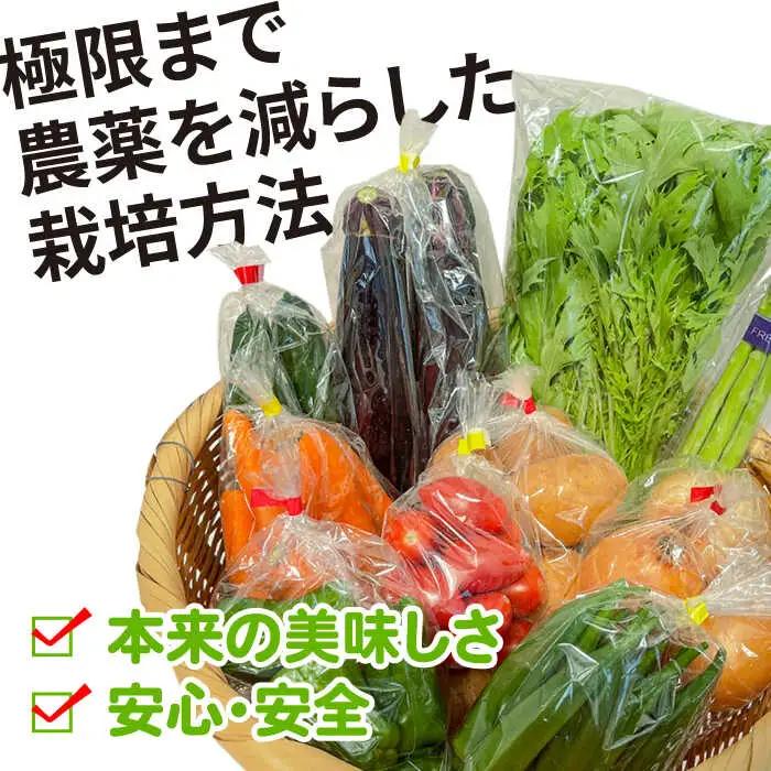 【12回定期便】野菜定期便 お米と季節のやさい 8品目 野菜 定期便 / ながさき南部 [SBW015]