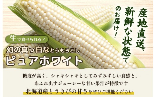 【先行予約】上原農場直送　有機栽培とうもろこし (ピュアホワイト) 約10kg 約20本前後
