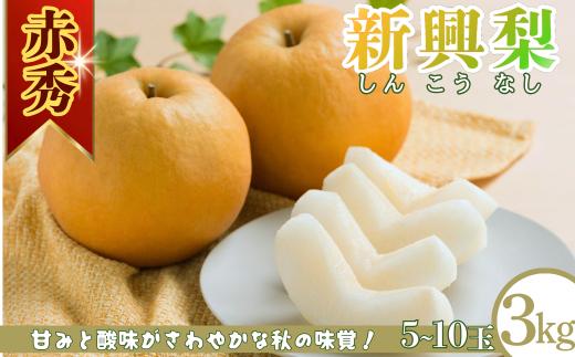 新興梨(赤秀) 3kg「Ys Farm Tottori」【梨 なし ナシ 果物 フルーツ ギフト 先行予約 甘い 果実 果汁 デザート もぎたて 旬】