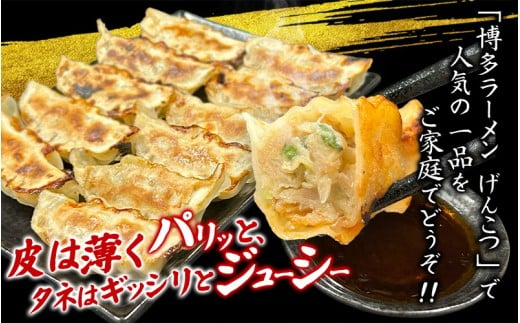 【定期便】黒豚 冷凍餃子 96個 【2ヵ月に1回×3回お届け！】/ グルメ 人気 おすすめ 餃子 惣菜 豚 肉 お肉 ぎょーざ 高評価餃子 おかず 晩ご飯 食品 加工品 大阪府 豊中市 焼き餃子 焼餃