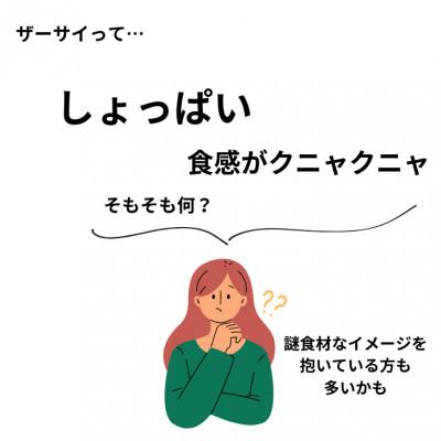 ふるさと納税 伊達市 パリッと食感!オリジナルザーサイ 500g |  | 01