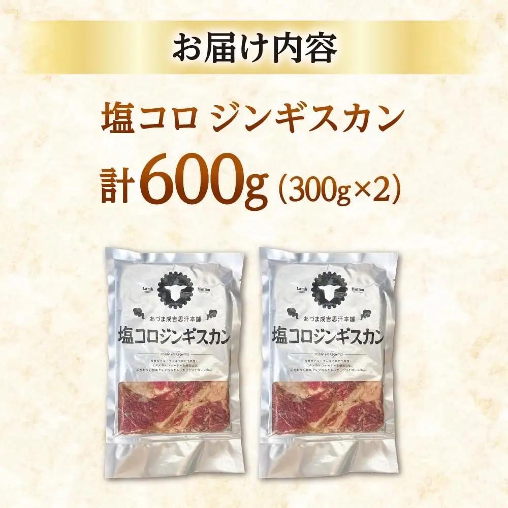 塩コロジンギスカン 600g ラム肉 [AXAA001] ジンギスカン