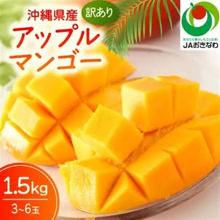 【2026年6月から順次発送・訳あり】JAおきなわ厳選 アップルマンゴー1.5kg(3～6玉)【配送不可地域：離島】【1724295】
