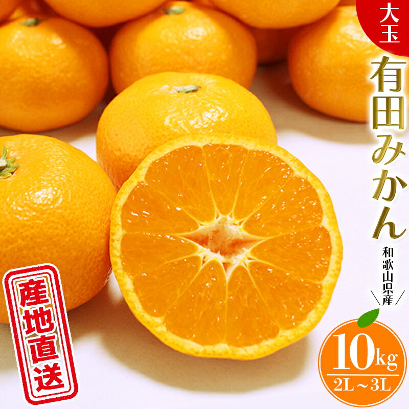 【ふるさと納税】 ＼ みかんの名産地 和歌山県産／ 農家直送 大玉 有田みかん 10kg （2L～3L） ひとつひとつ手選別で厳選【2025年11月下旬～1月中旬ごろに順次発送予定】 | みかん フルーツ 果物 くだもの 有田みかん 蜜柑 柑橘【hdm001-2A】