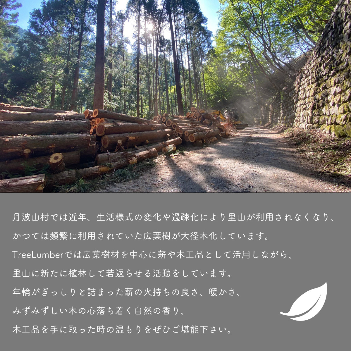 丹波山村の豊かな森林から生まれました。森林保護にも役立っています。