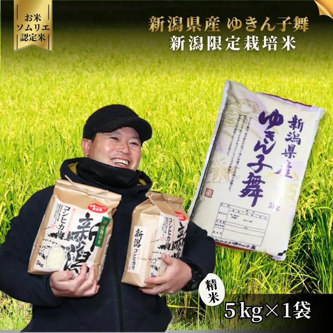 【定期便6回】令和8年産 新米 ゆきん子舞 5kg×6回(計30kg) 先行予約 | 新潟県産 米 白米 五泉市