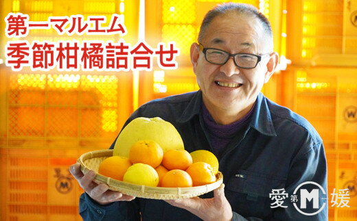 【ふるさと納税】 季節 の 柑橘詰合せ （ 3.5kg ～ 6kg ） 7000円 みかん mikan 蜜柑 ミカン 産地直送 国産 農家直送 期間限定 数量限定 特産品 ゼリー ジュース アイス 冷凍 みかん 等に 人気 甘い フルーツ 果物 柑橘 おいしい ジューシー 健康 第一マルエム 愛南町 愛媛県