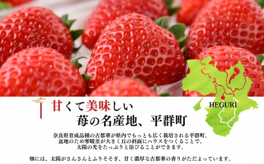 平群 の 古都華  2L ～ 3L サイズ （2パック 1ケース） 計2パック OKADAファーム | 先行予約 フルーツ 果物 くだもの ブランド いちご 苺 古都華 ことか 甘い 大人気 満足 希少 希少品種 ストロベリー 美味しい 品種 特徴 糖度 ルビー色 1月 2月 3月 発送 旬 送料無料 濃厚 香り 果汁 味わい深い お取り寄せ 産地直送 名産地 奈良県 平群 町