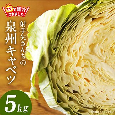 ふるさと納税 泉佐野市 【TVで紹介されました!】泉州キャベツ 5kg 2〜5玉 射手矢農園 G1624