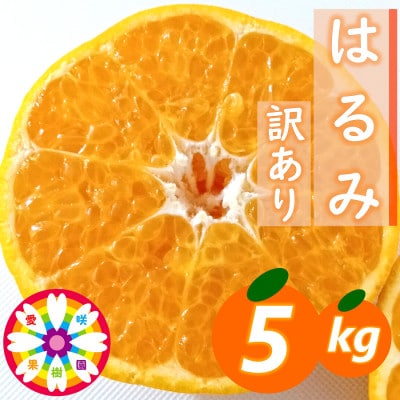 愛咲果樹園「はるみ」訳あり約5kg【C71−30】【1619095】