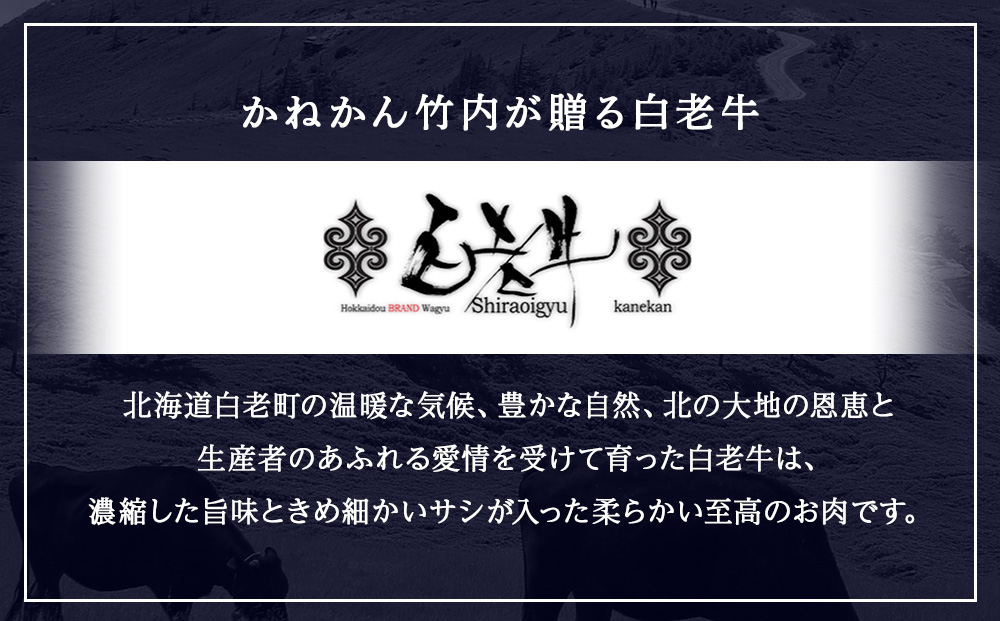 【12ヶ月定期便】白老牛　中おちプレミアムハンバーグ200g×10個【かねかん】