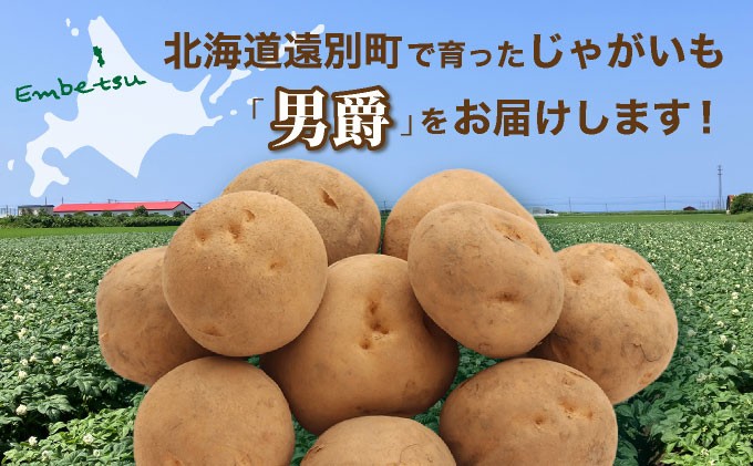 男爵はほくほくとした食感が特徴です